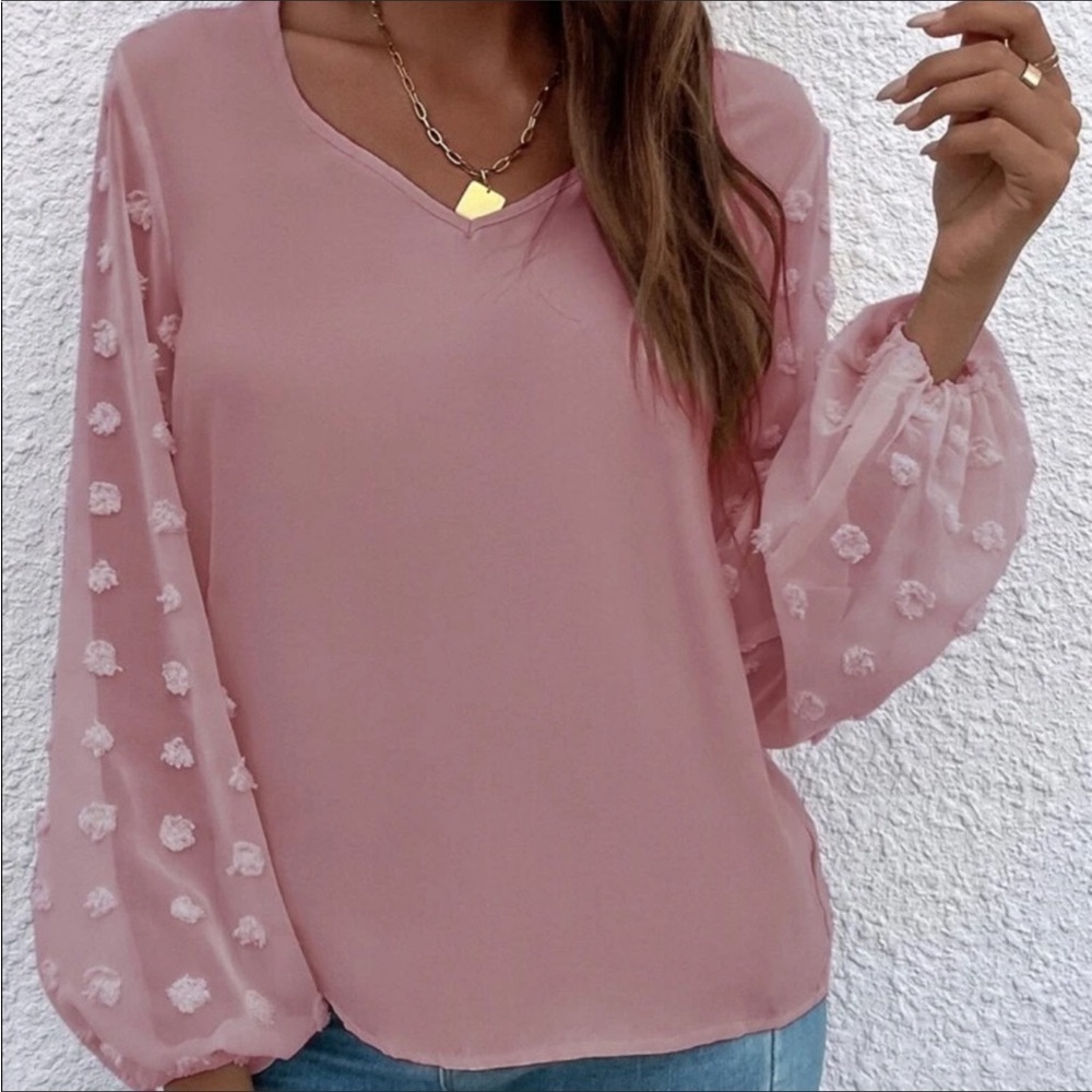 Dusty Pink Swiss Dot Sheer Sleeve Blouse Small X-Large